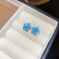 Macro shot of blue five-petal flower earrings with sparkling zircon inlay in a jewelry box - 21# Silver Earring Post - Silver-tone Blue Five-Petal Flower