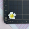 Detail van een 2cm witte plumeria bloem van hars gemeten met een liniaal voor maat - Klein
