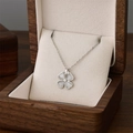 Collier trèfle à quatre feuilles en titane argenté dans un écrin en bois de noyer - 8914-Argent