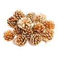 Detailed overhead view of small golden pine cones for Christmas DIY holiday decorations - Painted Gold Pine Cone-3-4cm
