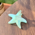 Close-up of iridescent mint green starfish hair claw clip on dark wooden surface - Starfish Claw Clip / Green Iridescent