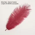 Burgundy ostrich feathers 25-30cm long for DIY bouquets and floral crafts 5pcs pack - Wine Red (25-30cm)