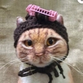 Orange felt cat with a dark brown knit hat and pink curlers, creative pet wig accessory - Dark Coffee