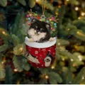 Süßer Weihnachtswelpe im roten Nikolausstiefel mit Rentiergeweih als Festtagsdeko - Zwergspitz Typ 2