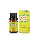 10ml pure organic ylang ylang essential oil in amber glass bottle with yellow box - Ylang Ylang Oil