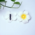 White frangipani flower hair clip with yellow gradient, pearl detail and black duckbill clip - 4cm / White Flower Head + Pearl + Clip