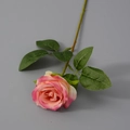 Seide Rosenrosa