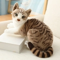 Realistic brown tabby and white plush cat toy in a lying pose on a white block - Lying Tabby Cat