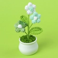 Primer plano detallado de flores de ganchillo hechas a mano en mini maceta blanca y verde - Verde Degradado
