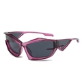 Gafas de sol cat-eye futuristas con montura morada transparente y cristales grises - Montura Púrpura Lente Gris