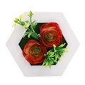 White hexagonal frame with realistic reddish-brown succulents and green foliage - Style 10E