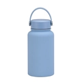 Light blue 650ml stainless steel sports bottle with matte finish and portable handle - Haze Blue