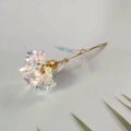 Iridescent carnation flower with golden stem for romantic gifts and decorations - Carnation Transparent White