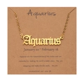 18k gold plated stainless steel Aquarius zodiac necklace with personality card - Gold-Aquarius