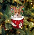 Süßer Welpe im roten Weihnachtssocken-Anhänger, hängend an einem Tannenbaum - Basset Welpe