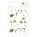 Botanical PET flat stickers flower series lucky clover DIY journal journaling decorative art supplies - Clover