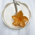 Orange gradient flower claw clip in translucent resin for elegant hair styling - Champagne (Five-point Flower)