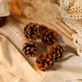 Natuurlijke dennenappels op rustiek linnen voor kerst en bos thema decoratie - Premium Amerikaanse Dennenappels
