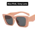 Retro square oversized sunglasses with beige pink frame and dark grey lenses - Beige Pink / Grey Lenses