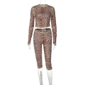 Detailweergave van de luipaardset met cropped top met lange mouwen en een slim fit broek - S / Luipaardprint