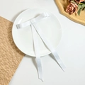 Vue détaillée d'un nœud en satin blanc brillant avec de longs rubans sur une assiette - Blanc