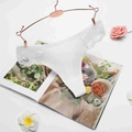 Elegant white lace thong with ribbed cotton detail displayed on a rose gold hanger - S(30) / White