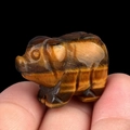 Miniature hand-carved tiger eye pig figurine with natural brown striped crystal finish - Tiger's Eye