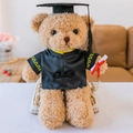 Yellow Collar Graduation Bear - Brown 30 Centimeters In Length