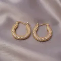 Elegant gold hoop earrings with white micro-pave zircon on smooth gray silk background - Full Diamond Hoop / E-101---Gold