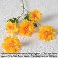Flame Chrysanthemum Yellow