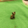 Statuetta di gatto in ottone vintage in miniatura con texture dettagliata per decoro tavolo - Gatto seduto