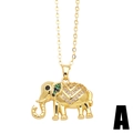 Product 5