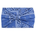 Macro view of blue paisley pattern texture on an elastic cotton bohemian headband - Blue Paisley