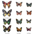3D colorful butterfly wall stickers set with 12 pieces in various sizes and laser patterns - Butterfly Series (BF7008)