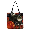 Gatto Zucca di Halloween (hm2888)