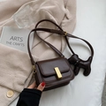Petit sac carré en cuir mat marron foncé avec boucle dorée et charm de chiot mignon - Petit / Marron