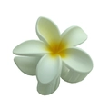 Elegant white and yellow plumeria flower hair claw clip with a glossy finish - Matte Plumeria [White Yellow Center]