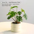 Artificial monstera plant in a cream-white donut wave ceramic pot for home decoration - Donut Pot / White-Small Monstera