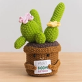 Handmade crochet cactus doll with small pink flowers and inspirational quote card - Large Pot - Small Cactus