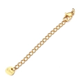 Golden 5cm stainless steel extender chain with lobster clasp and S.Steel round tag - Gold Triangle Tag