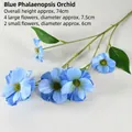 6-Head Butterfly Flower Blue