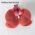 Testa di orchidea Phalaenopsis artificiale rosso scuro per accessori per capelli da sposa - Pellicola 3D Rosso N. 2 (Piccolo)