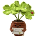 Handmade crochet positive potato clover plant with German Next Adventure sign board - Four-leaf Clover Ladybug