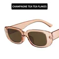 Retro rectangular champagne sunglasses with transparent frames and brown lenses - Champagne Frame Tea Lens