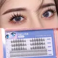 A-type fairy style individual fishtail eyelashes kit with 118 clusters in 7-12mm length - SY906 Pure Wild Devil (118 Clusters)
