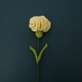 Handmade yellow crochet carnation flower with green leaves on dark blue background - Lace Style Carnation / Light Yellow