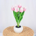 Pink and white LED tulip night light in a white ceramic pot for home decor - 6 Heads-Pink-Battery Style