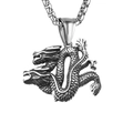 Collana con ciondolo a doppia testa di drago in acciaio inossidabile argento - Drago con Catena in Acciaio Inossidabile / Grigio Argento