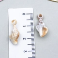 Handmade shell charm with 30mm natural two-tone spiral gradient for DIY jewelry making - Cream Acrylic Mini Conch 20x9x6.5mm (23609)
