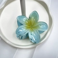 Pinza per capelli a fiore di frangipane con sfumatura blu e gialla vivace - 8cm / Blu Sfumato